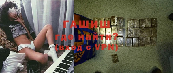 индика Сатка