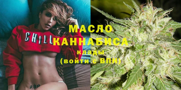 индика Сатка