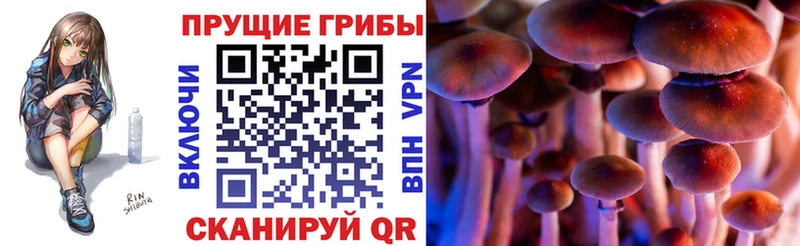 Псилоцибиновые грибы MAGIC MUSHROOMS  Купить где  Владикавказ 